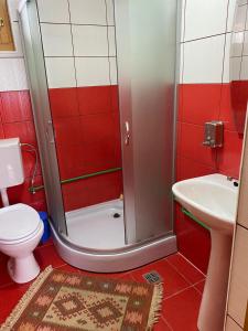 Camere de închiriat Floarea reginei