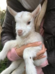 Kumano Winery Guest House