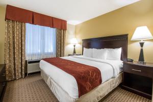 King Suite - Non-Smoking room in Comfort Suites Wisconsin Dells Area