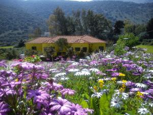 Countryside Studios Kefalloniá Greece