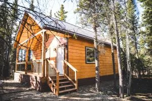 Denali Wild Stay - Redfox Cabin, Free Wifi, private, sleep 6 - Healy