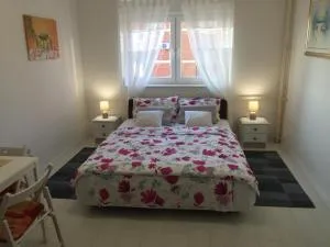 Studio apatrman Pijalović - Trojstveni Markovac