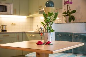 Fliana Arlberg Studios - Apartments