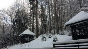 Apartamente 13 si 16 in Oxygen Residence Sinaia