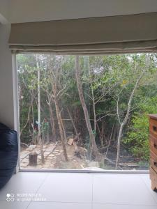 Espaço Mangue House