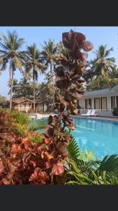 Golden Sands Resort, Morjim