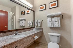 King Suite with Sofabed - Non-Smoking room in Comfort Suites Castle Rock