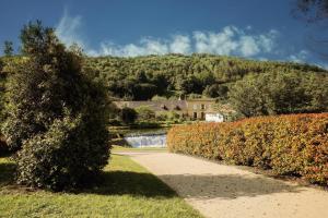 Maisons de vacances Comtesse de Dordogne : photos des chambres