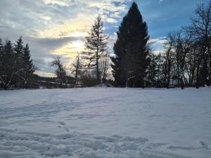 Apartment & Room Monika