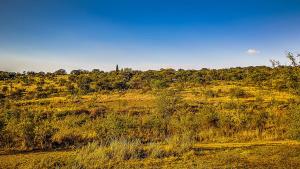 Buffalo House @Bankenkloof Private Game Reserve