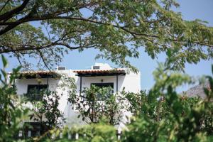 Samothraki Beach Apartments & Suites Hotel Nisos-Samothraki Greece