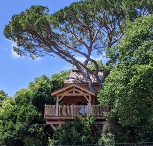 Maisons d'hotes Chateau des Fousseries : photos des chambres