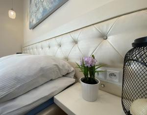 P&J Apartments Lubicz