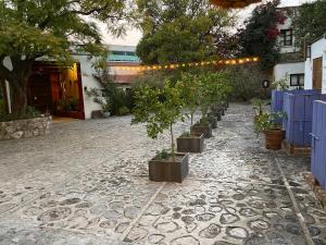 Posada Colibri - Hotel & Spa