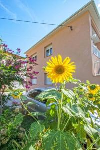 Apartman Studio Nena Crikvenica