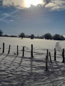 La Roche ô Tour! - Gîte citadin