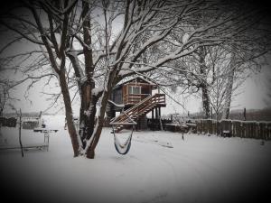 Podlasie Domek na drzewach