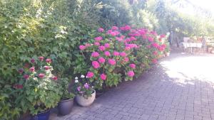 Ferienwohnung Energie Oase