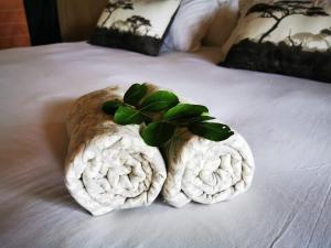 Little Africa Safari Lodge