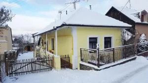 Lately renovated country house - 特伦钦