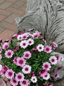 Appartement Fam. M.Lehmann