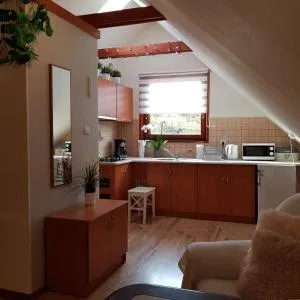 "Warszawianka" - 杜什尼基-兹德鲁伊