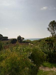 Santa Maria
