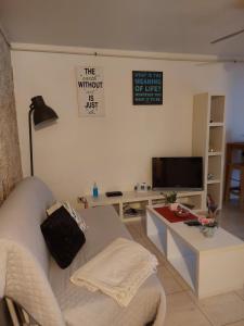 Studio Concept Apartment 