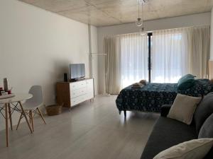 Nuevo Loft en Palermo Hollywood