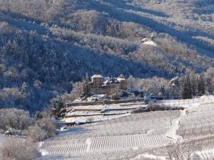 Appartements Au coeur des vignes : photos des chambres