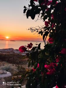 Zephyrus Sunset House. Amazing View and Privacy! Naxos Greece