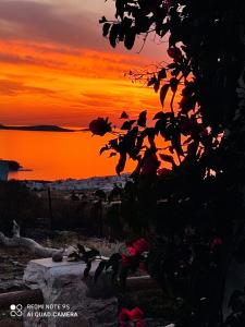 Zephyrus Sunset House. Amazing View and Privacy! Naxos Greece