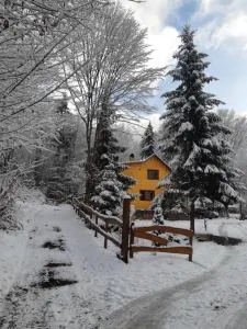 希尔维亚度假屋 - Izvoare