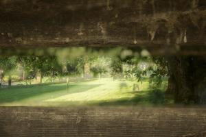 B&B Den Boomgaard Moorsel