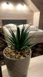 Double Room with Mountain View room in Royal Bucovina Residence Adults Only