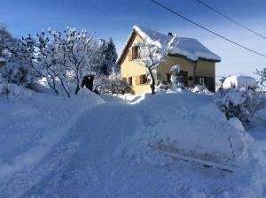 Maison independante de montagne en ALSACE