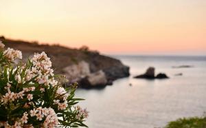 Elefthia Syros Exclusive Suite