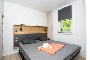 Campings Camping International d'Aups : photos des chambres