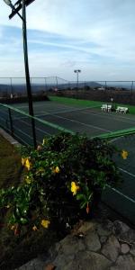 Confortável Casa Premium em Gravatá