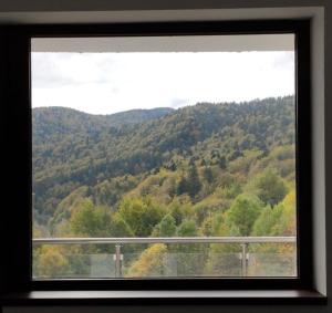 Velvet Apartament Sinaia