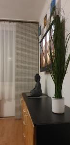 Goldapartman Salgótarján