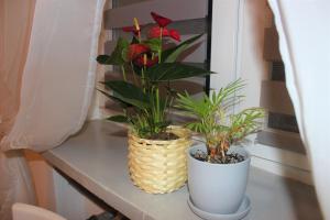 Dom WarszawaLegionowo