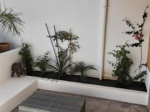 ESCALE PARADIS 10 pers 4 ch 3 sdb piscine