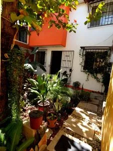 Casa Lomas del Marinero Internet Starlink SIN GARAJE - Totolapa