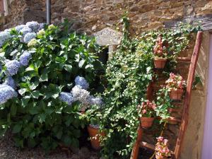 B&B / Chambres d'hotes Domaine de Lasfonds : Chambre Lits Jumeaux Standard