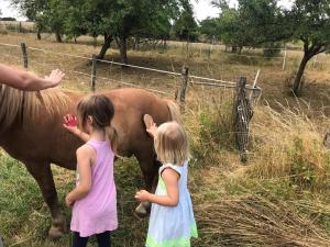 Maisons de vacances Au grain de Celles : photos des chambres