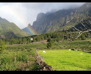 Vivienda Casa Abuela - 3hvězdičkové hotely ve městě El Paso