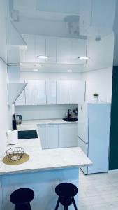 Green & White Apartament