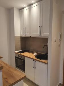 Vila Irina Kopaonik - Apartman IN