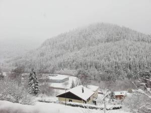Chalets Chalet le Bruleux : Chalet 3 Chambres
